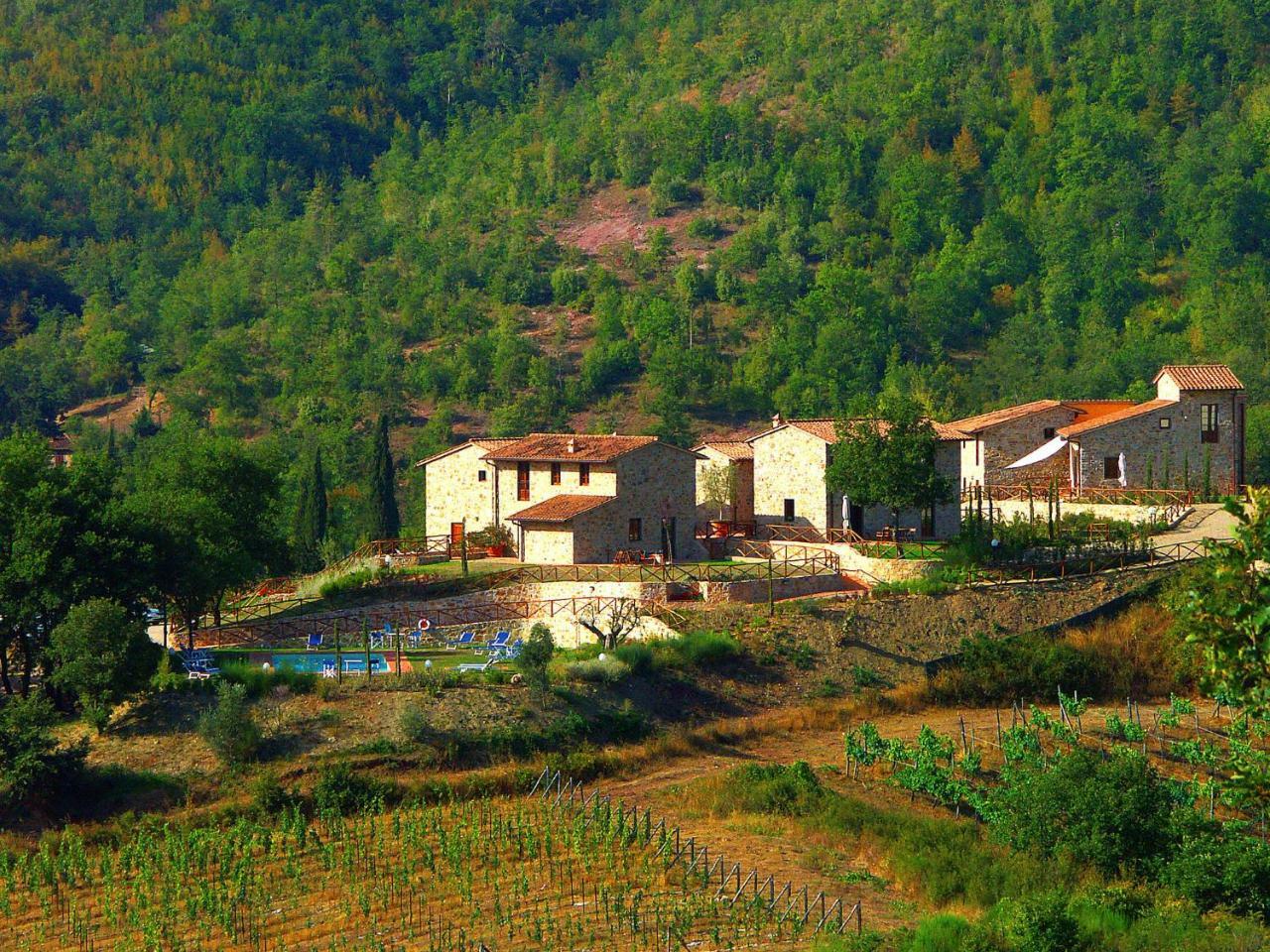 Holiday Home La Torre By Interhome Lucolena in Chianti Dış mekan fotoğraf